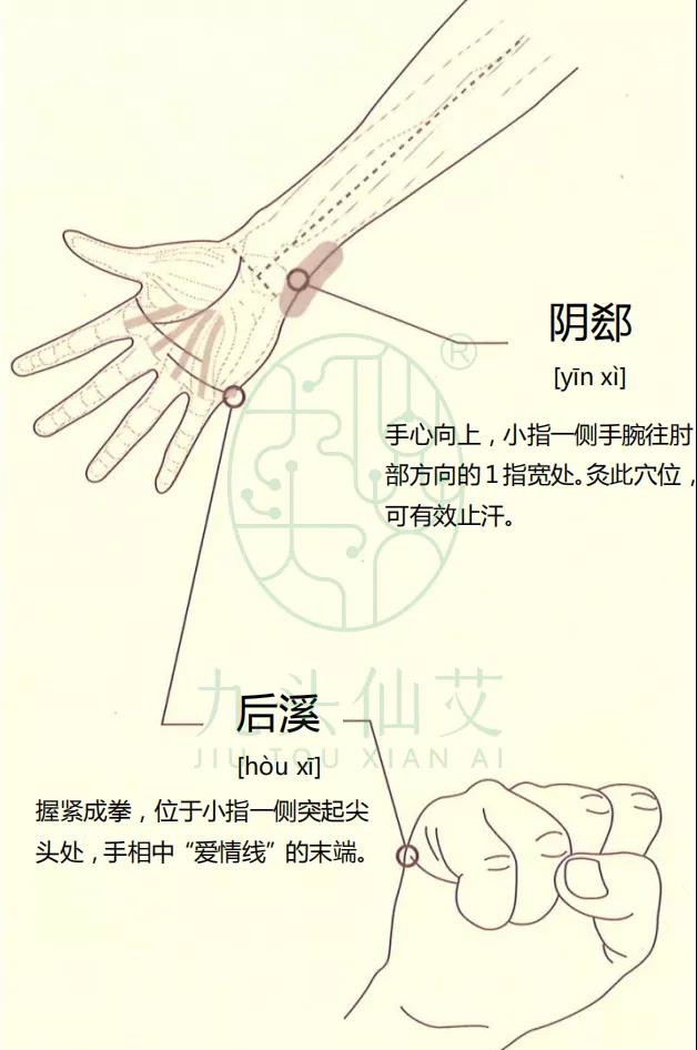 阴郄读音图片